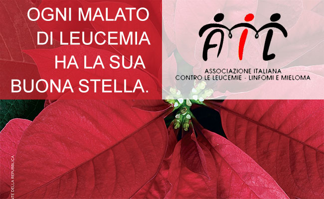 Stella Di Natale Beneficenza.Campagna Stelle Di Natale Ail 7 8 9 Dicembre 2018 Ail Modena Onlus