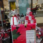 Stelle di Natale AIL Modena 2017 - Coop I Giardini