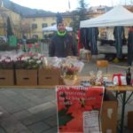 Stelle di Natale AIL 2017 Pieve