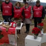 Stelle di Natale AIL 2017 Prignano