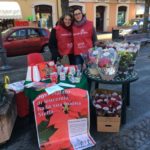 Stelle di Natale AIL Modena 2017 - montese